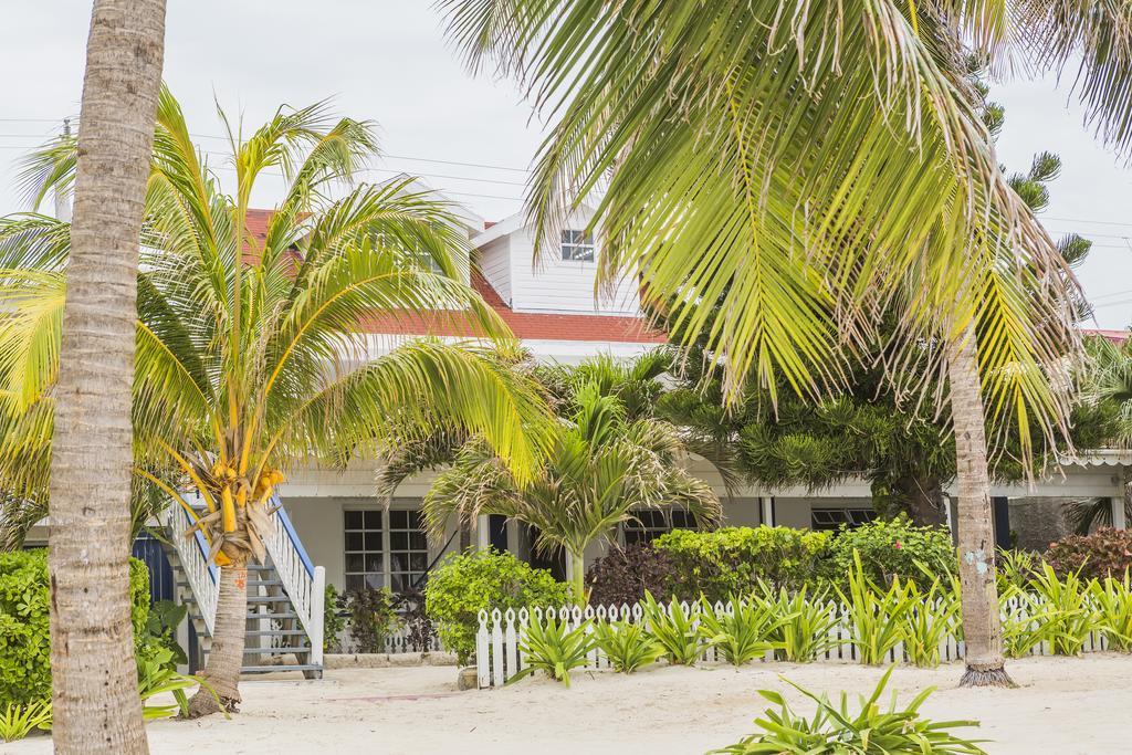 Casa Brisa Guest House San Pedro  Extérieur photo